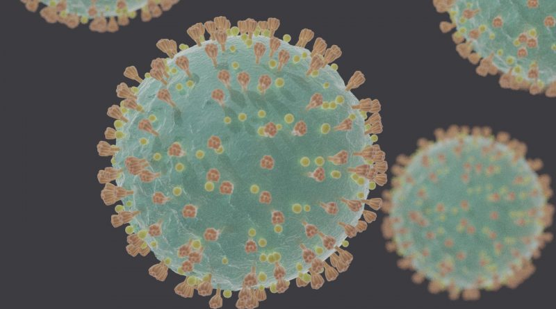 cellula sars-cov2